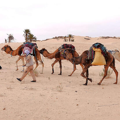 Voyage en Tunisie d'Alain T.