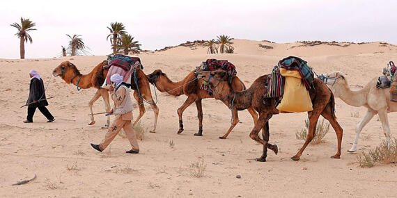 Voyage en Tunisie d'Alain T.
