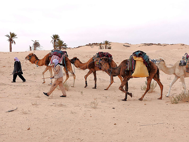 Voyage en Tunisie d'Alain T.