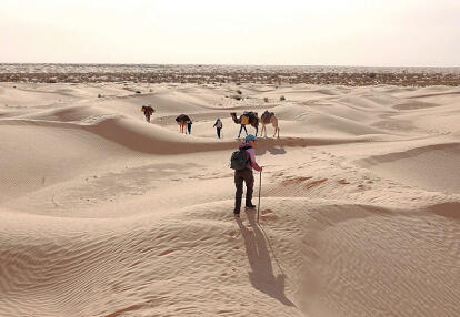 Voyage en Tunisie d'Alain T.