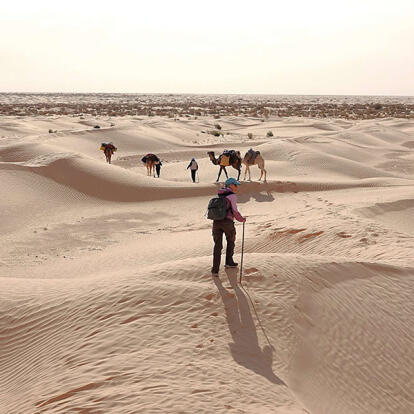 Voyage en Tunisie d'Alain T.