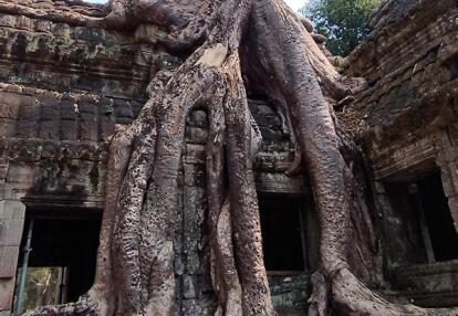 Voyage au Cambodge de Philippe B.