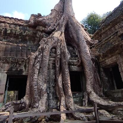 Voyage au Cambodge de Philippe B.