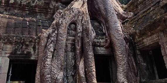 Voyage au Cambodge de Philippe B.
