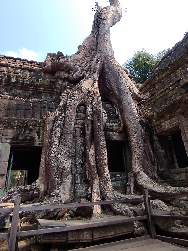 Voyage au Cambodge de Philippe B.