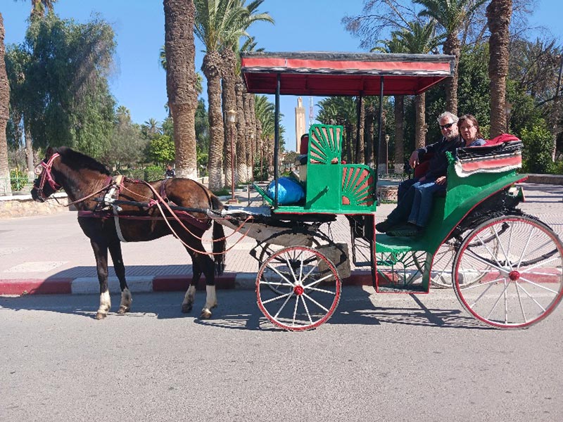 Voyage au Maroc de Louise B.