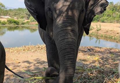 Voyage en Thaïlande de Virginie G.