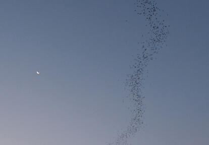 Voyage en Thaïlande de Virginie G.