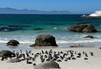 Voyage en Afrique du Sud de Maryse R.