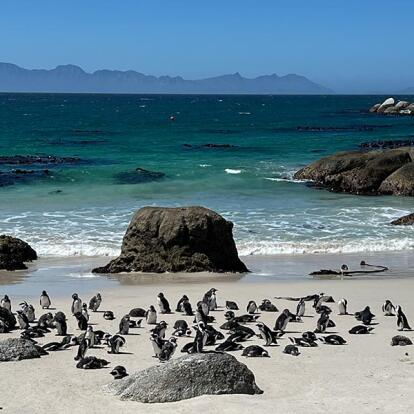 Voyage en Afrique du Sud de Maryse R.