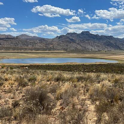 Voyage en Afrique du Sud de Maryse R.