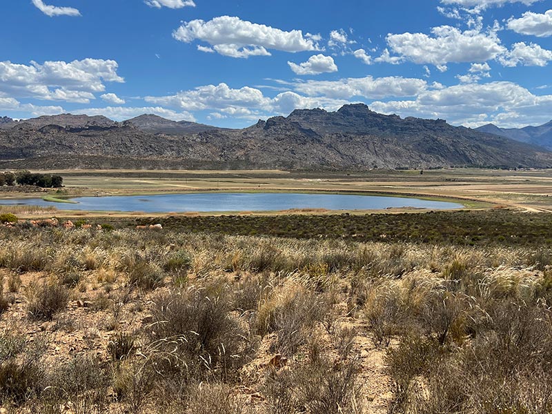 Voyage en Afrique du Sud de Maryse R.