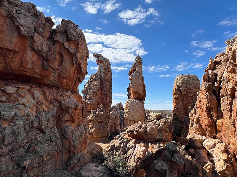 Voyage en Afrique du Sud de Maryse R.