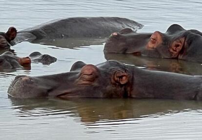 Voyage en Afrique du Sud de Maryse R.