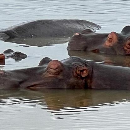 Voyage en Afrique du Sud de Maryse R.