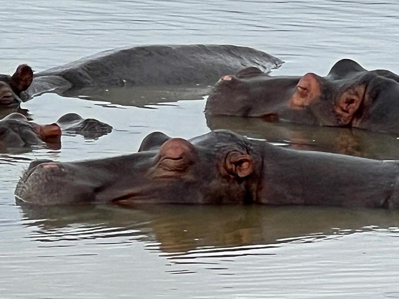Voyage en Afrique du Sud de Maryse R.