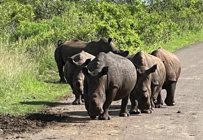 Voyage en Afrique du Sud de Maryse R.