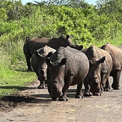 Voyage en Afrique du Sud de Maryse R.