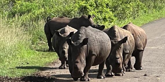 Voyage en Afrique du Sud de Maryse R.
