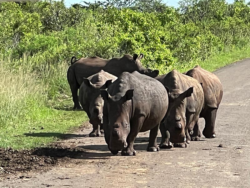 Voyage en Afrique du Sud de Maryse R.
