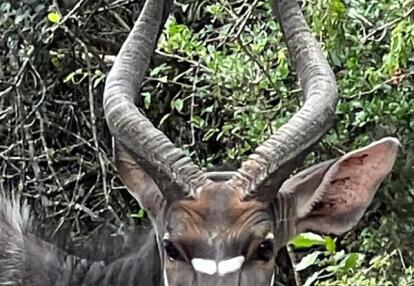 Voyage en Afrique du Sud de Maryse R.
