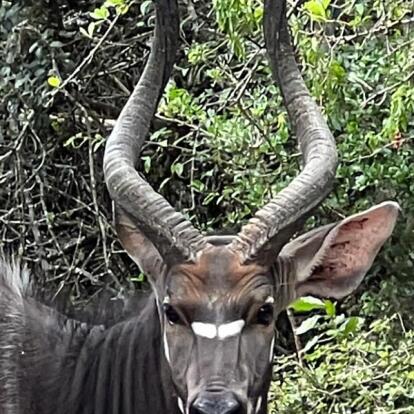 Voyage en Afrique du Sud de Maryse R.