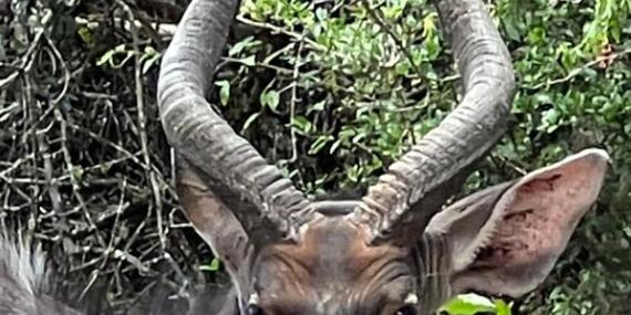 Voyage en Afrique du Sud de Maryse R.