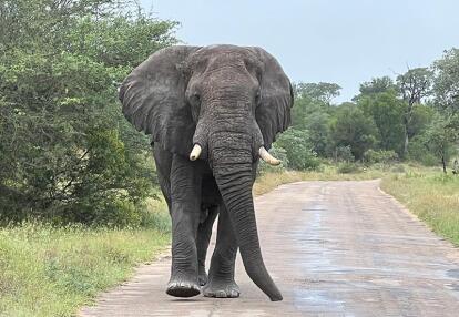 Voyage en Afrique du Sud de Maryse R.