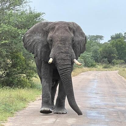 Voyage en Afrique du Sud de Maryse R.