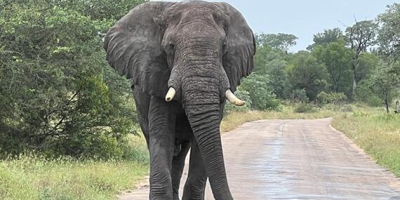 Voyage en Afrique du Sud de Maryse R.