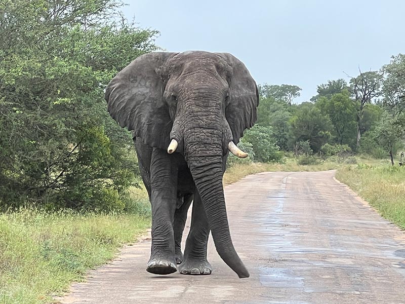 Voyage en Afrique du Sud de Maryse R.