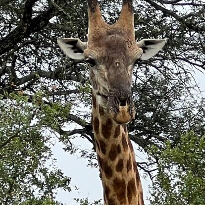 Voyage en Afrique du Sud de Maryse R.