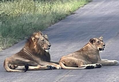 Voyage en Afrique du Sud de Maryse R.