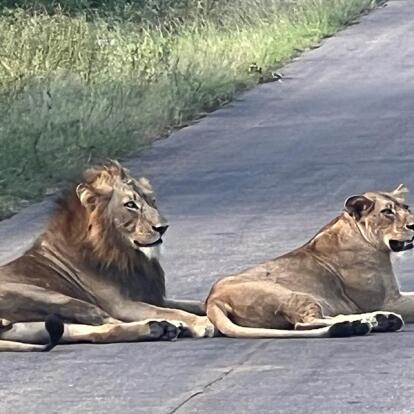 Voyage en Afrique du Sud de Maryse R.