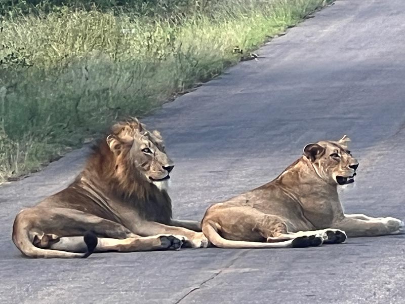 Voyage en Afrique du Sud de Maryse R.