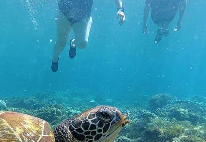 Voyage aux Philippines de Catherine L.