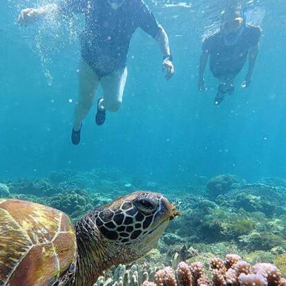 Voyage aux Philippines de Catherine L.