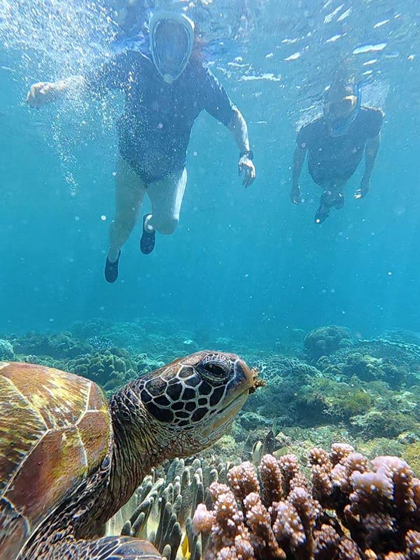 Voyage aux Philippines de Catherine L.