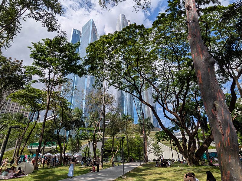 Voyage aux Philippines de Catherine L.