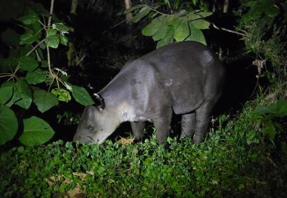 Voyage au Costa Rica du Groupe d'Annie V.