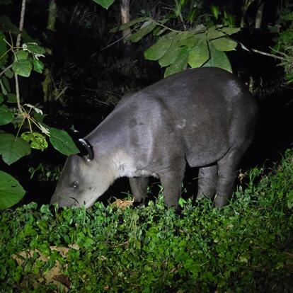 Voyage au Costa Rica du Groupe d'Annie V.