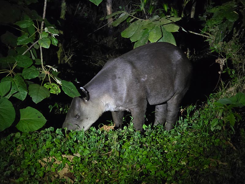 Voyage au Costa Rica du Groupe d'Annie V.