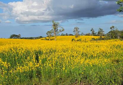 Voyage au Costa Rica du Groupe d'Annie V.