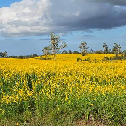 Voyage au Costa Rica du Groupe d'Annie V.