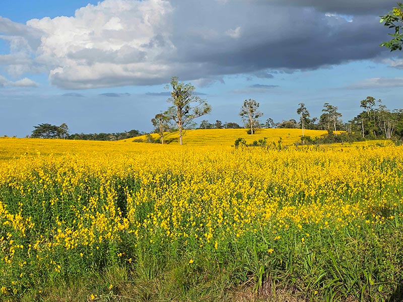 Voyage au Costa Rica du Groupe d'Annie V.