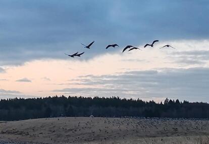 Voyage en Suède de Jean-Michel M.