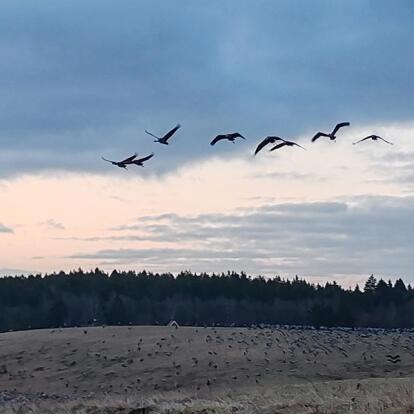 Voyage en Suède de Jean-Michel M.