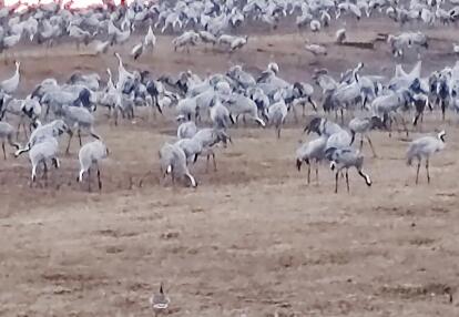 Voyage en Suède de Jean-Michel M.