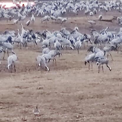 Voyage en Suède de Jean-Michel M.