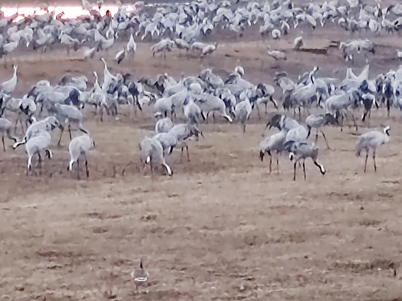 Voyage en Suède de Jean-Michel M.